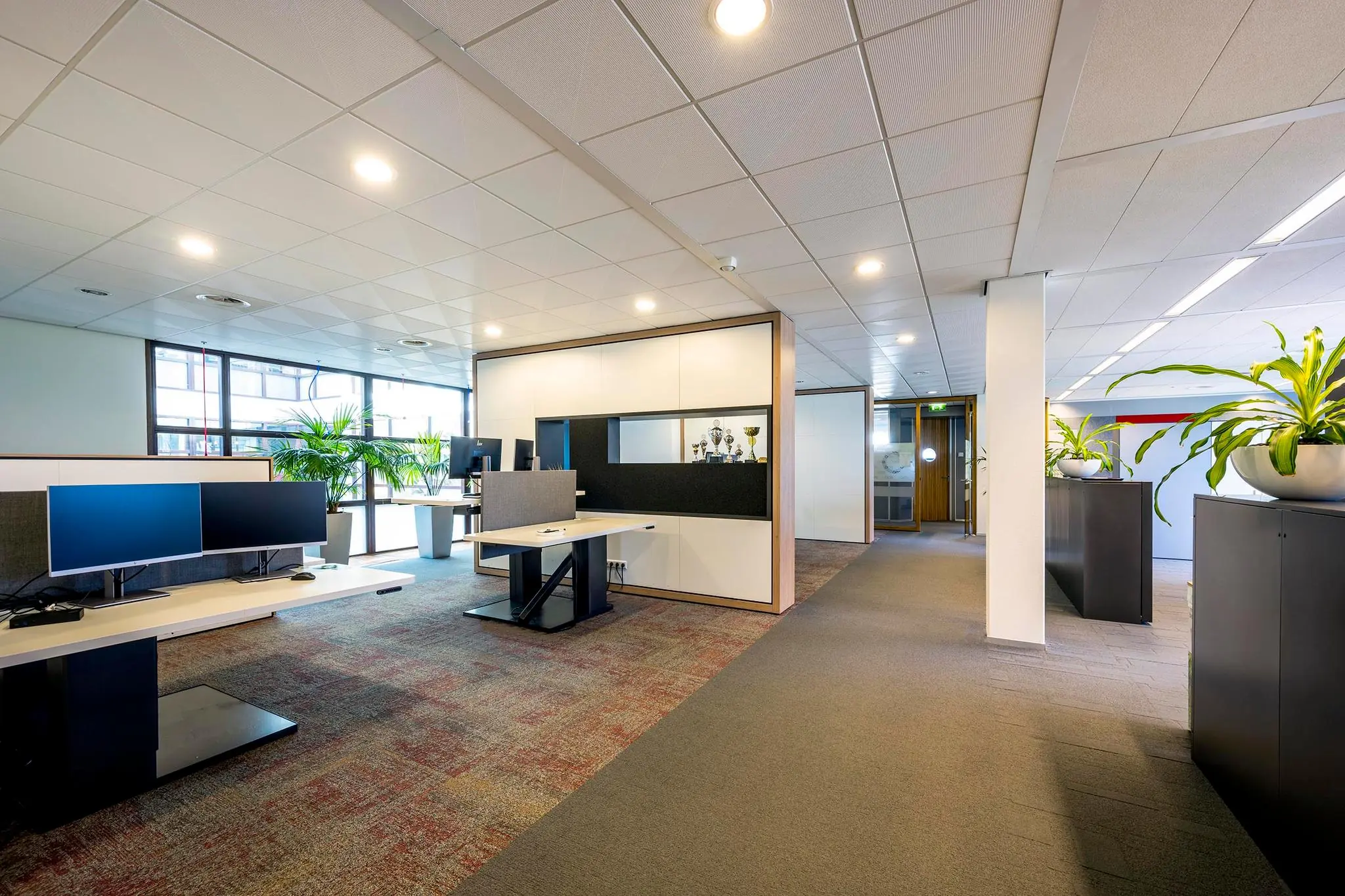 Moderne kantoorruimte aan de K.P. van der Mandelelaan met werkplekken, planten en trofeeën in een vitrine.